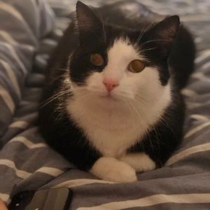 Meet your Posher, Kristen